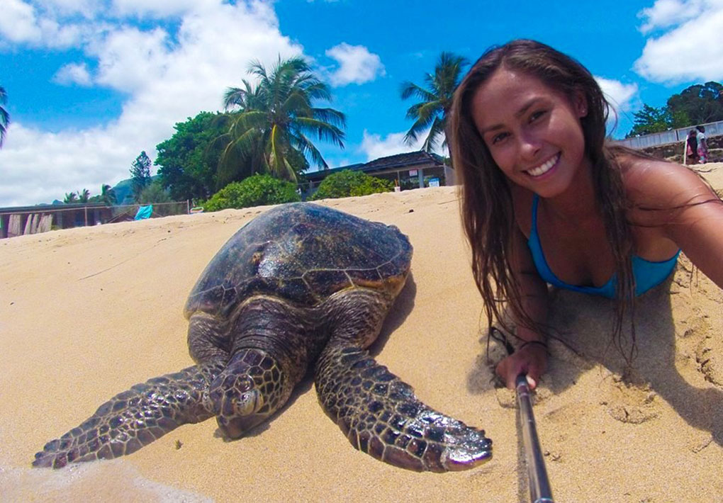 muses_izzy_turtleSelfie